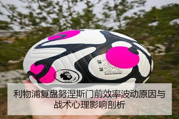 li-wu-pu-fu-pan-nu-nie-si-men-qian-xiao-lv-bo-dong-yuan-yin-yu-zhan-shu-xin-li-ying-xiang-pou-xi-3-595.jpg