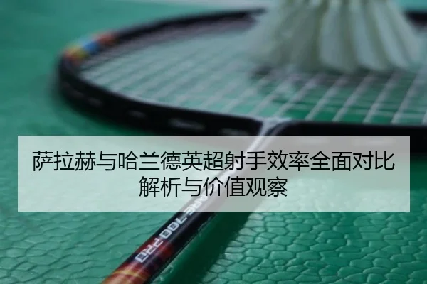 萨拉赫与哈兰德英超射手效率全面对比解析与价值观察